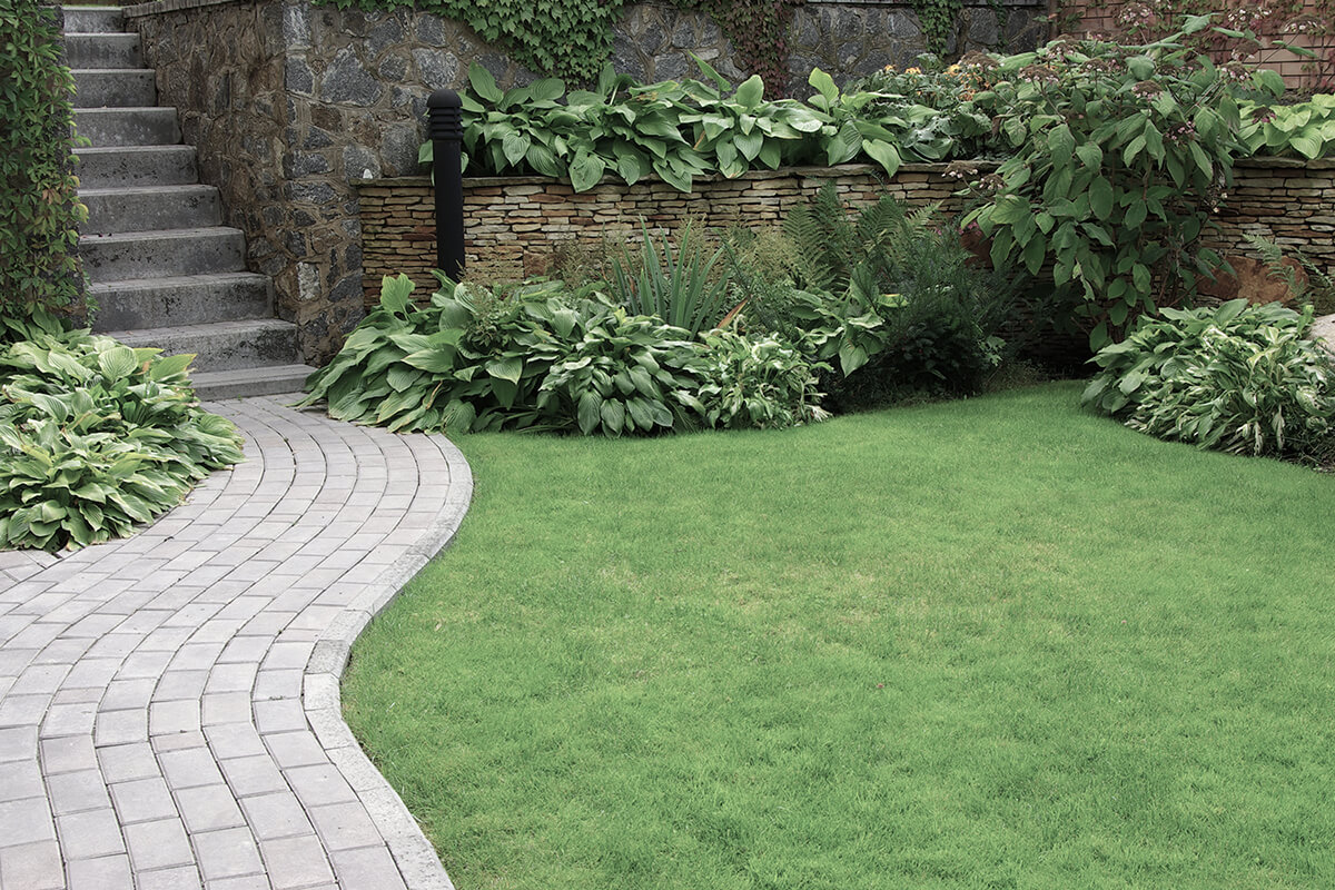 Welcome to Ashbrook Landscaping